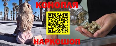 мдпв Гай