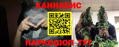 мдпв Гай