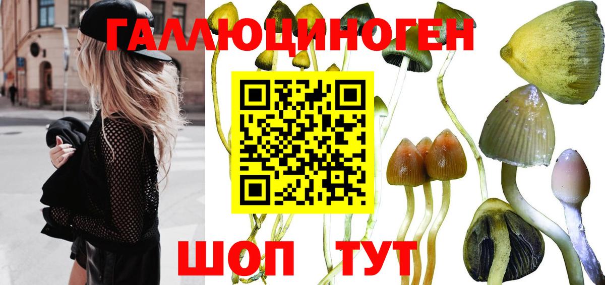 Галлюциногенные грибы прущие грибы Сокол