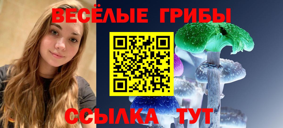 Псилоцибиновые грибы ЛСД  Вход с VPN  Сокол  Галлюциногенные грибы GOLDEN TEACHER 